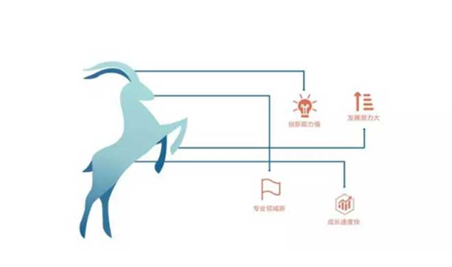 2018 High-tech Zone Gazelle enterprise list announced - Ruimeng twice on the list